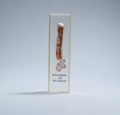 plexi%20french%20fries%20souvenir%20de%20belgique-002_WEBP