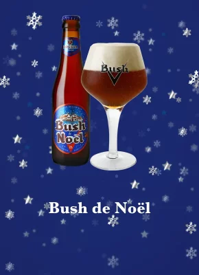 Bush-Noel_WEBP